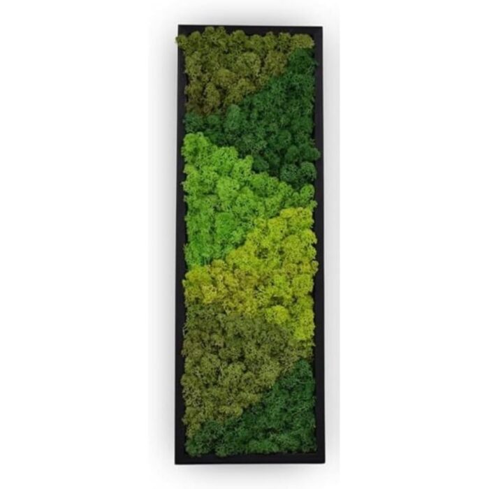 Large Moss Pattern Wall Art