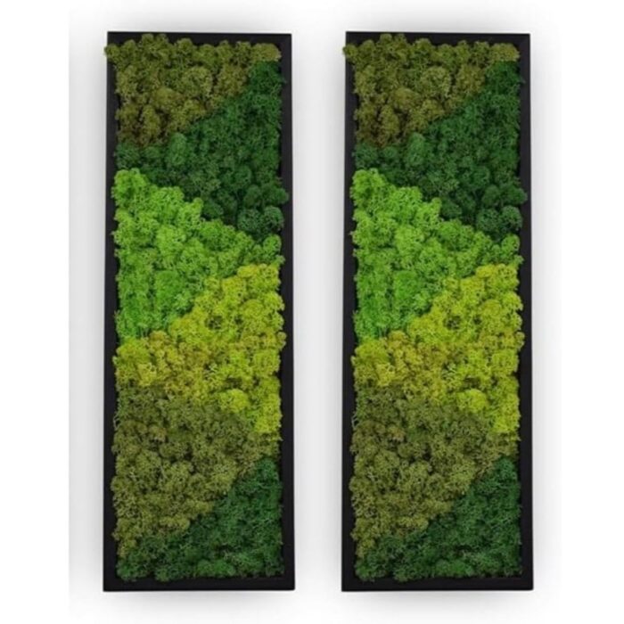 Large Moss Pattern Wall Art - Set of 2
