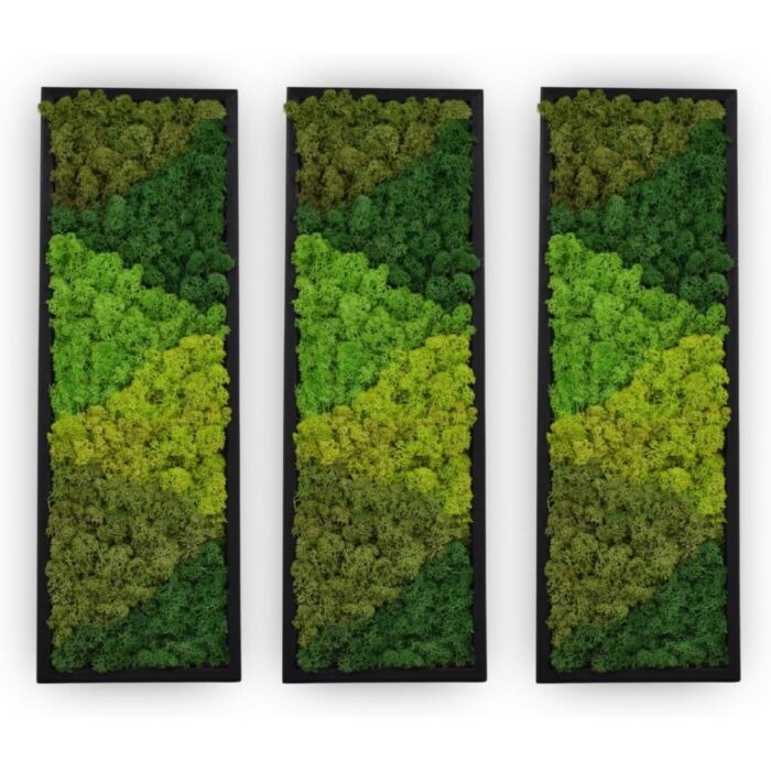 Large Moss Pattern Wall Art - Set of 3